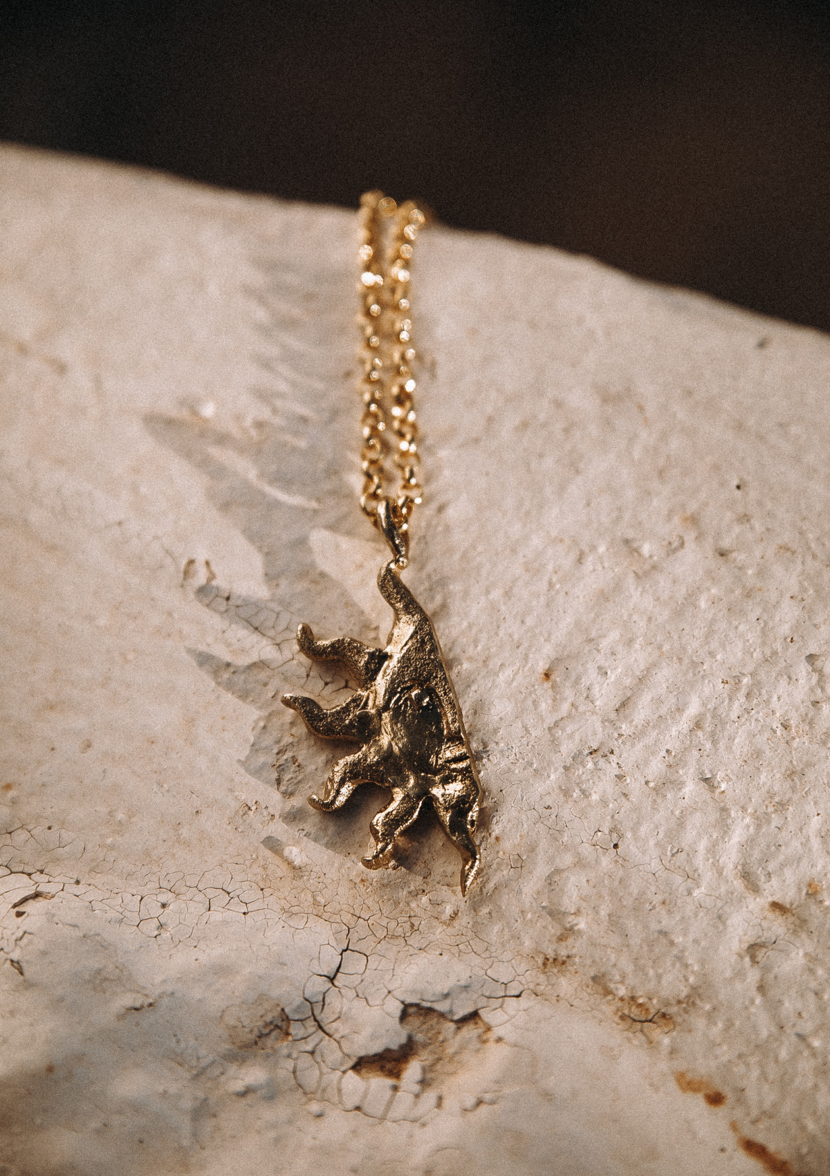 Chain 3.90mm 50 cm - Silver Gold Plated